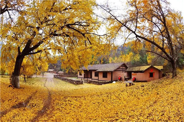 1668477609817014061.jpg 640.jpg