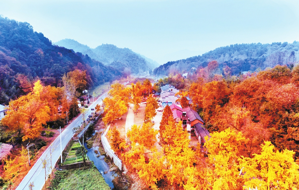 曾都区洛阳镇胡家河村美丽乡村